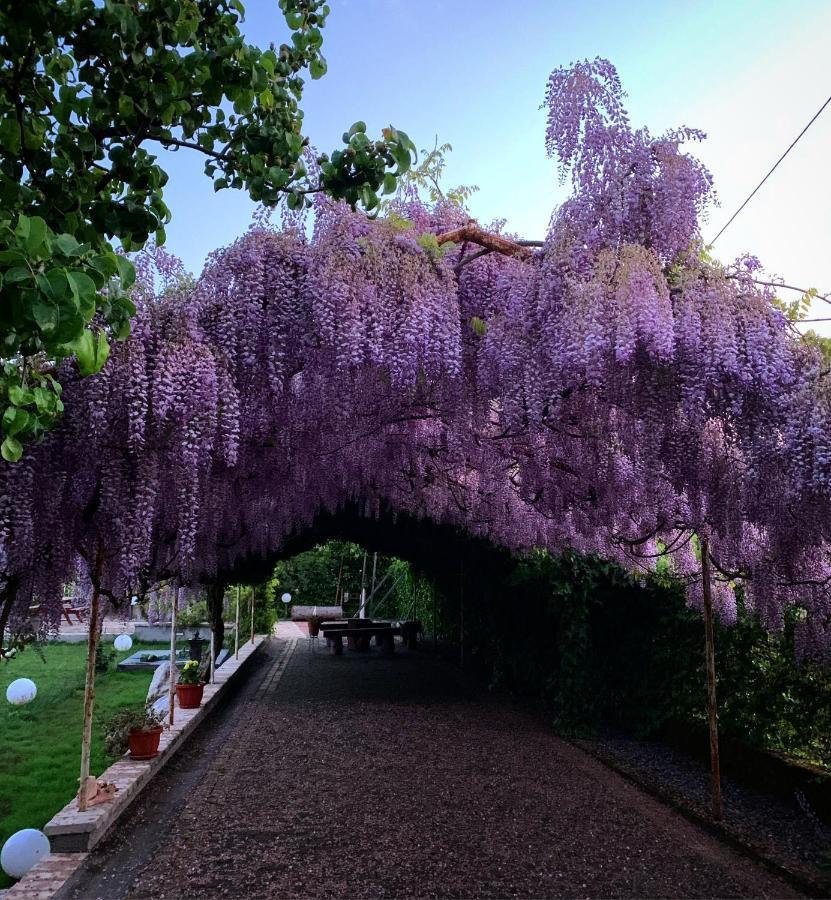 モラーノ・カーラブロ La Brezza Del Pollino Bed & Breakfast エクステリア 写真